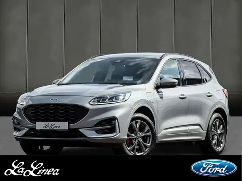 Used FORD KUGA Hybrid 2021 Ad 