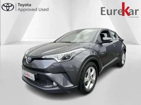 Used TOYOTA C-HR Hybrid 2019 Ad 