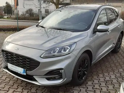 Used FORD KUGA Petrol 2023 Ad 