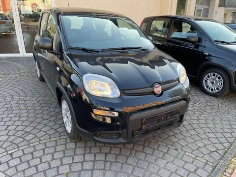 Used FIAT PANDA Petrol 2023 Ad 