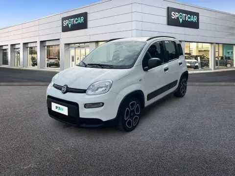 Used FIAT PANDA Petrol 2022 Ad 