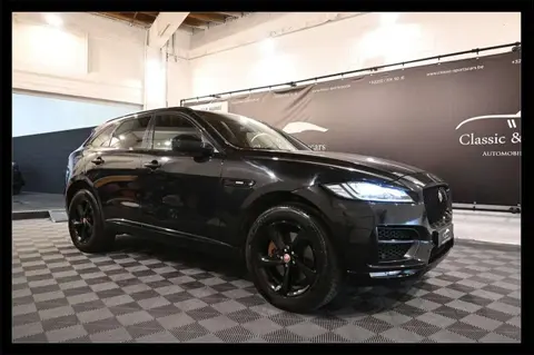 Used JAGUAR F-PACE Diesel 2017 Ad 