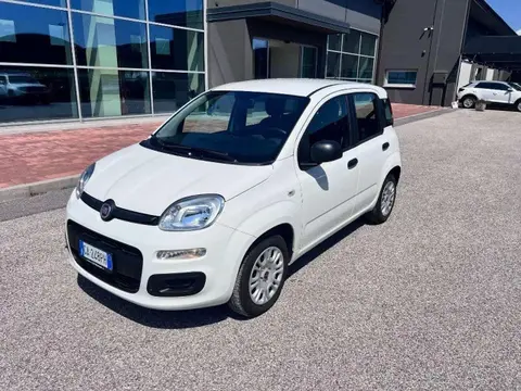 Annonce FIAT PANDA Essence 2020 d'occasion 