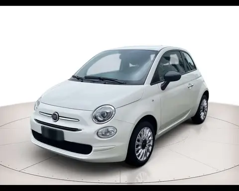 Used FIAT 500 Petrol 2023 Ad 