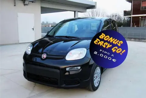 Annonce FIAT PANDA Hybride 2024 d'occasion 