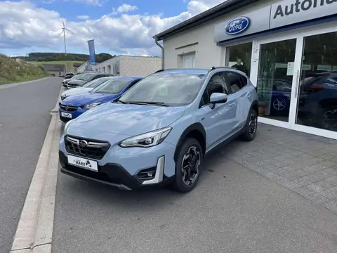 Annonce SUBARU XV Hybride 2024 d'occasion 