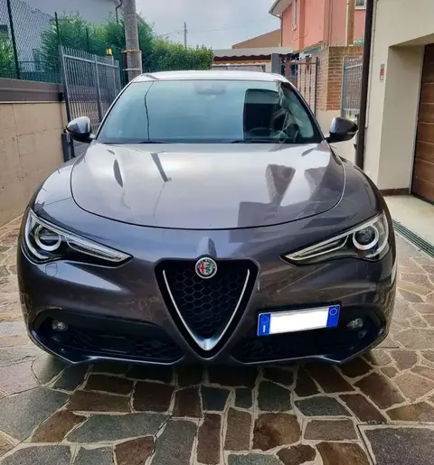 Used ALFA ROMEO STELVIO Diesel 2018 Ad 