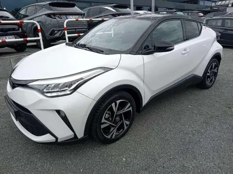 Used TOYOTA C-HR Hybrid 2022 Ad 