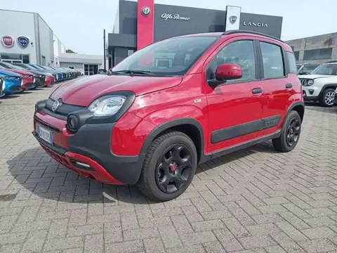 Annonce FIAT PANDA Hybride 2023 d'occasion 