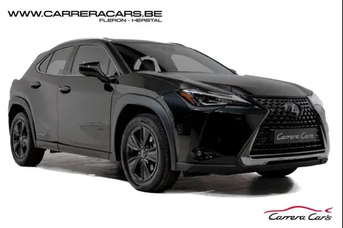 Used LEXUS UX Hybrid 2020 Ad 