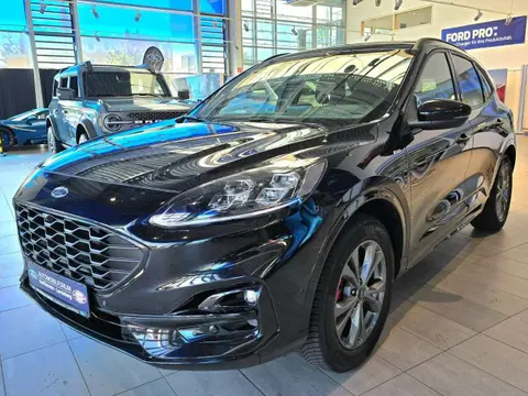 Used FORD KUGA Hybrid 2021 Ad 