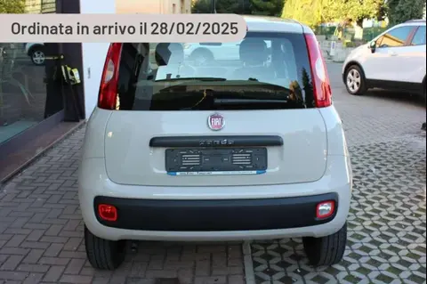 Annonce FIAT PANDA Hybride 2024 d'occasion 