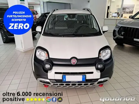 Used FIAT PANDA Hybrid 2021 Ad 