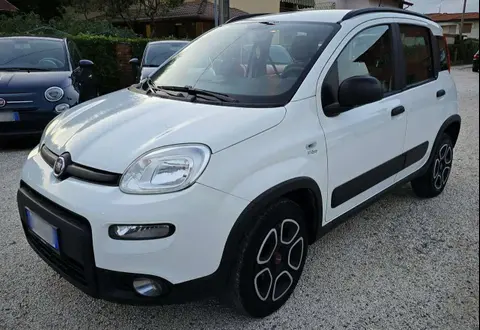 Annonce FIAT PANDA  2021 d'occasion 