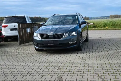 Annonce SKODA OCTAVIA Diesel 2019 d'occasion 