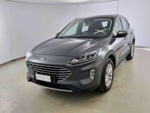 Annonce FORD KUGA Diesel 2022 d'occasion 