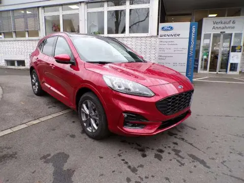 Used FORD KUGA Hybrid 2023 Ad 