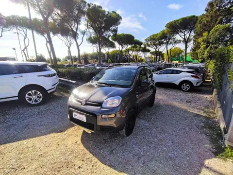 Used FIAT PANDA Petrol 2022 Ad 