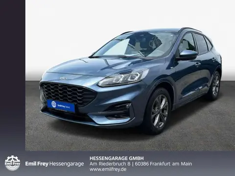 Used FORD KUGA Diesel 2022 Ad 