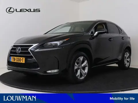 Used LEXUS NX Hybrid 2015 Ad 