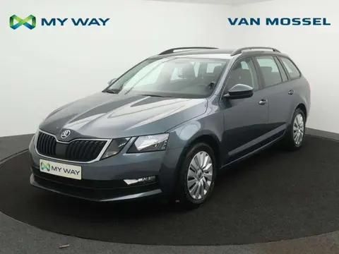 Annonce SKODA OCTAVIA Diesel 2019 d'occasion 