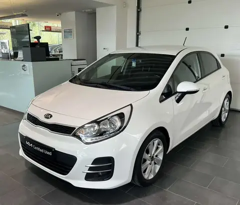 Used KIA RIO Petrol 2016 Ad 