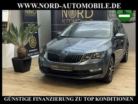 Annonce SKODA OCTAVIA Diesel 2019 d'occasion 