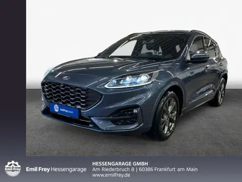 Annonce FORD KUGA Diesel 2023 d'occasion 