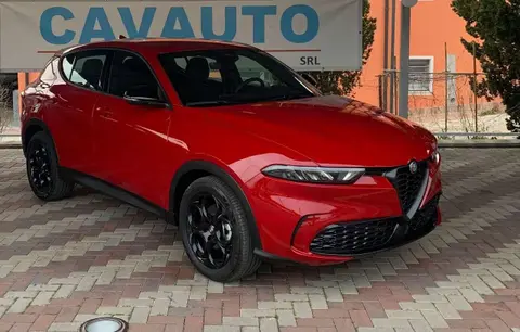 Annonce ALFA ROMEO TONALE Diesel 2023 d'occasion 