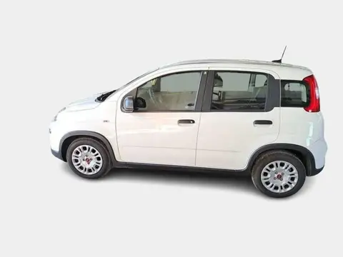 Used FIAT PANDA Hybrid 2023 Ad 