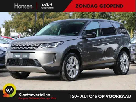 Used LAND ROVER DISCOVERY Hybrid 2021 Ad 