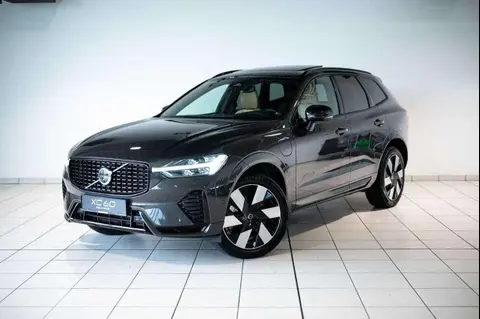 Annonce VOLVO XC60 Hybride 2024 d'occasion 