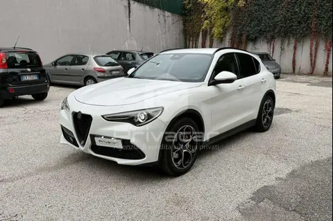 Used ALFA ROMEO STELVIO Diesel 2019 Ad 