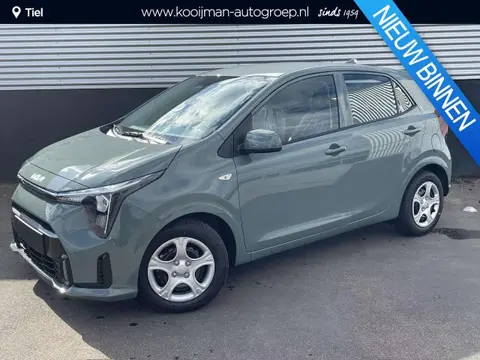 Used KIA PICANTO Petrol 2024 Ad 