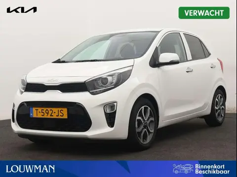 Used KIA PICANTO Petrol 2023 Ad 