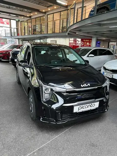 Annonce KIA PICANTO Essence 2024 d'occasion 