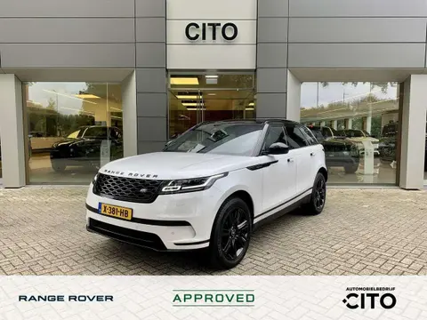 Used LAND ROVER RANGE ROVER VELAR Hybrid 2023 Ad 