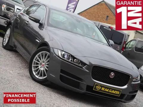 Used JAGUAR XE Diesel 2019 Ad 