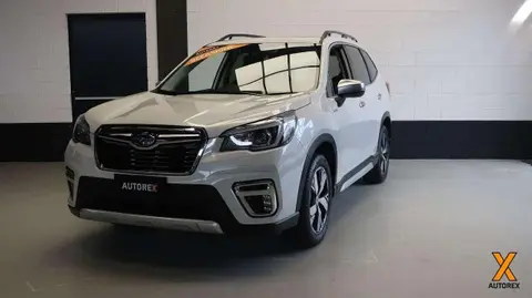 Annonce SUBARU FORESTER Hybride 2020 d'occasion 