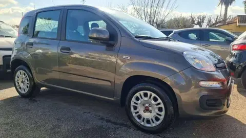 Used FIAT PANDA Petrol 2019 Ad 