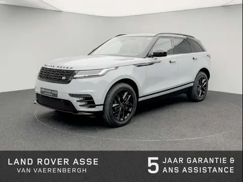 Used LAND ROVER RANGE ROVER VELAR Hybrid 2024 Ad 