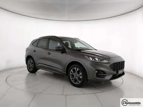 Used FORD KUGA Hybrid 2021 Ad 