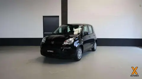 Annonce FIAT PANDA Hybride 2024 d'occasion 