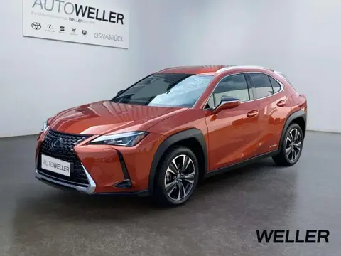 Used LEXUS UX Hybrid 2020 Ad 