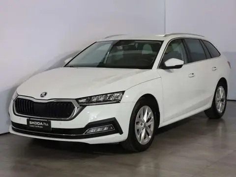 Used SKODA OCTAVIA Hybrid 2021 Ad 