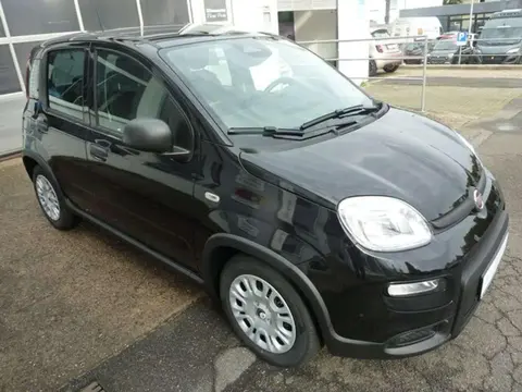 Used FIAT PANDA Petrol 2024 Ad 