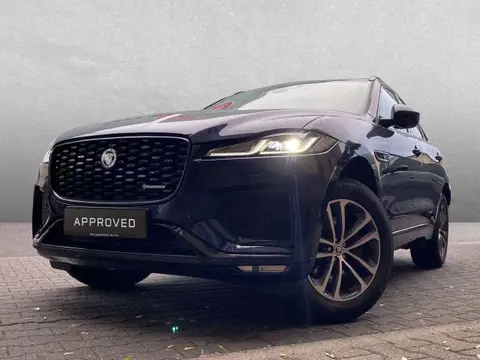 Annonce JAGUAR F-PACE Diesel 2024 d'occasion 