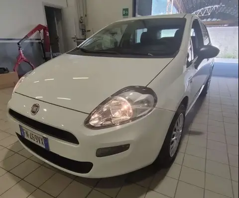 Used FIAT PUNTO Petrol 2018 Ad 