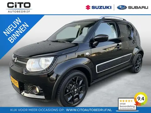 Used SUZUKI IGNIS Petrol 2017 Ad 