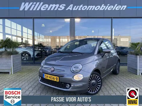 Used FIAT 500 Petrol 2018 Ad 